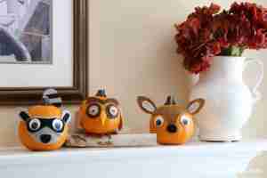 woodland-pumpkins-1-edited-768x512