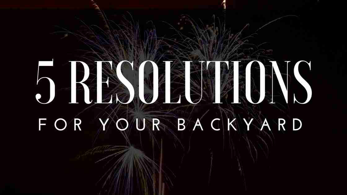 5 New Years Resolutions For Your Backyard
