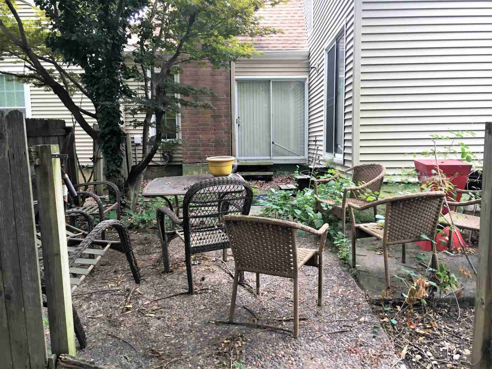 backyard before renovation