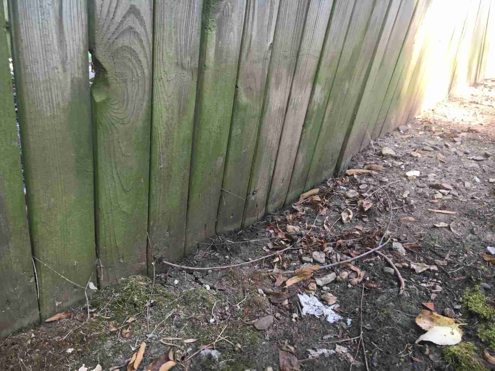 fence wood warping
