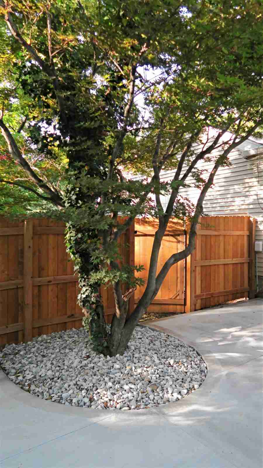 Transformation with tree