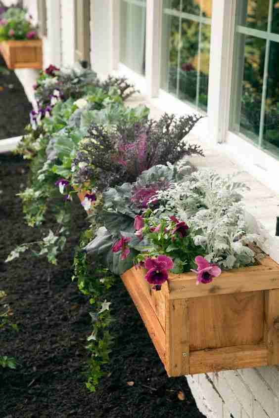 Window Boxes With Fall Colors