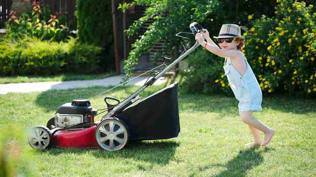 lawn mowing