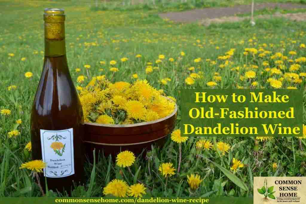 Dandelion wine