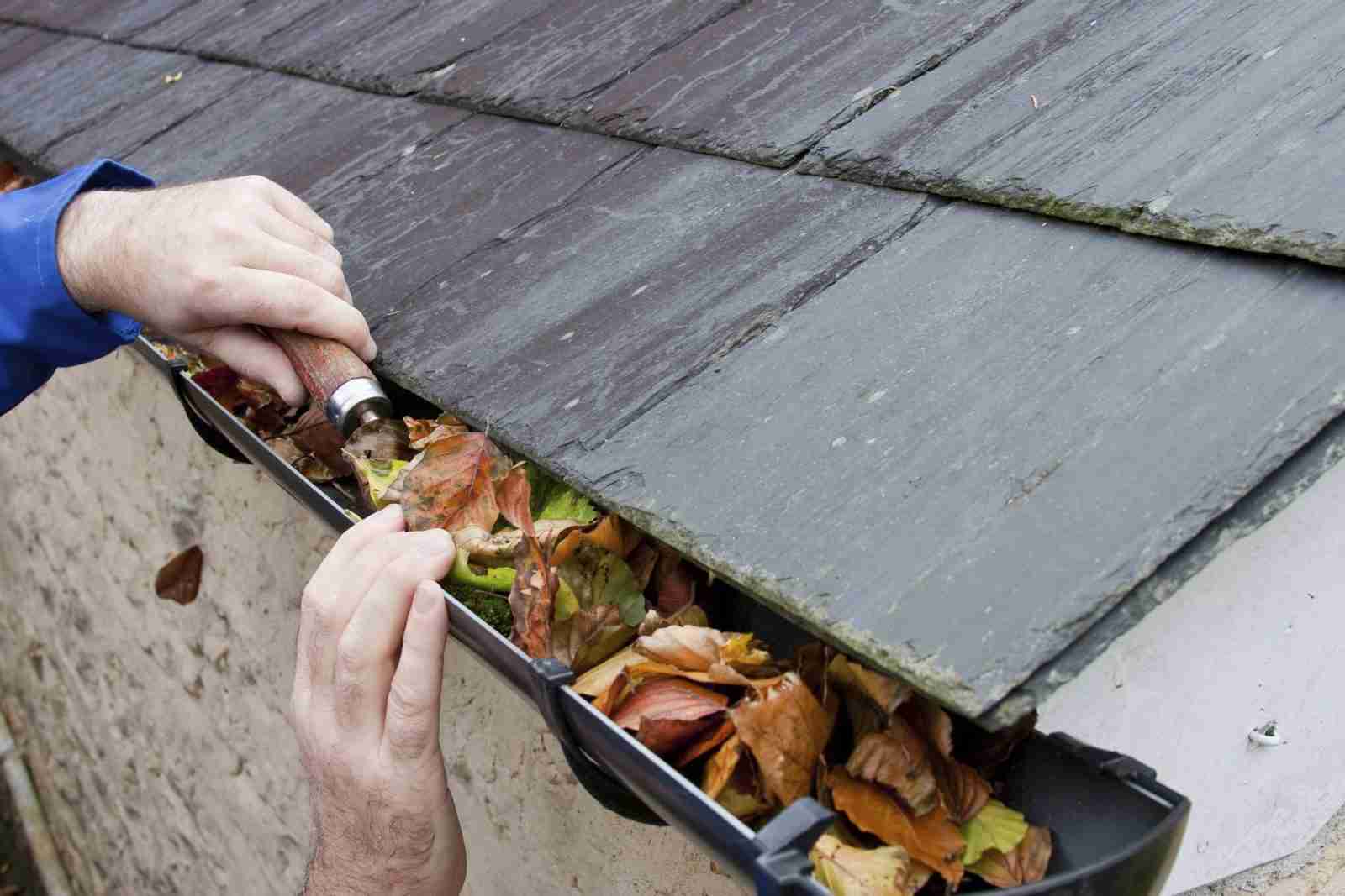 gutters clogged
