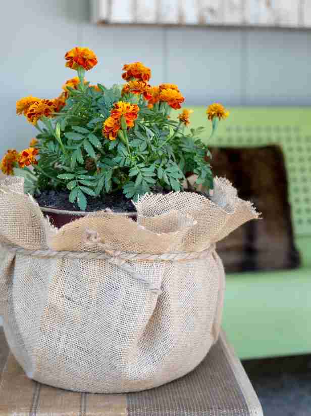 decorative pots