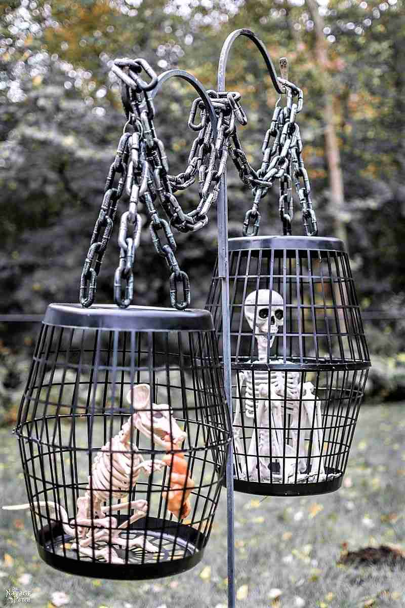 Hanging Cages