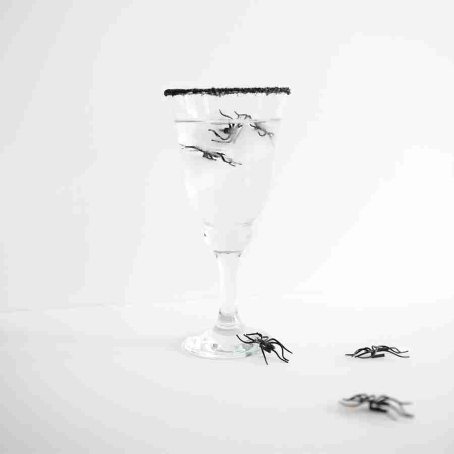 Spider Ice Cubes & Black Sugar-Rimmed Glasses