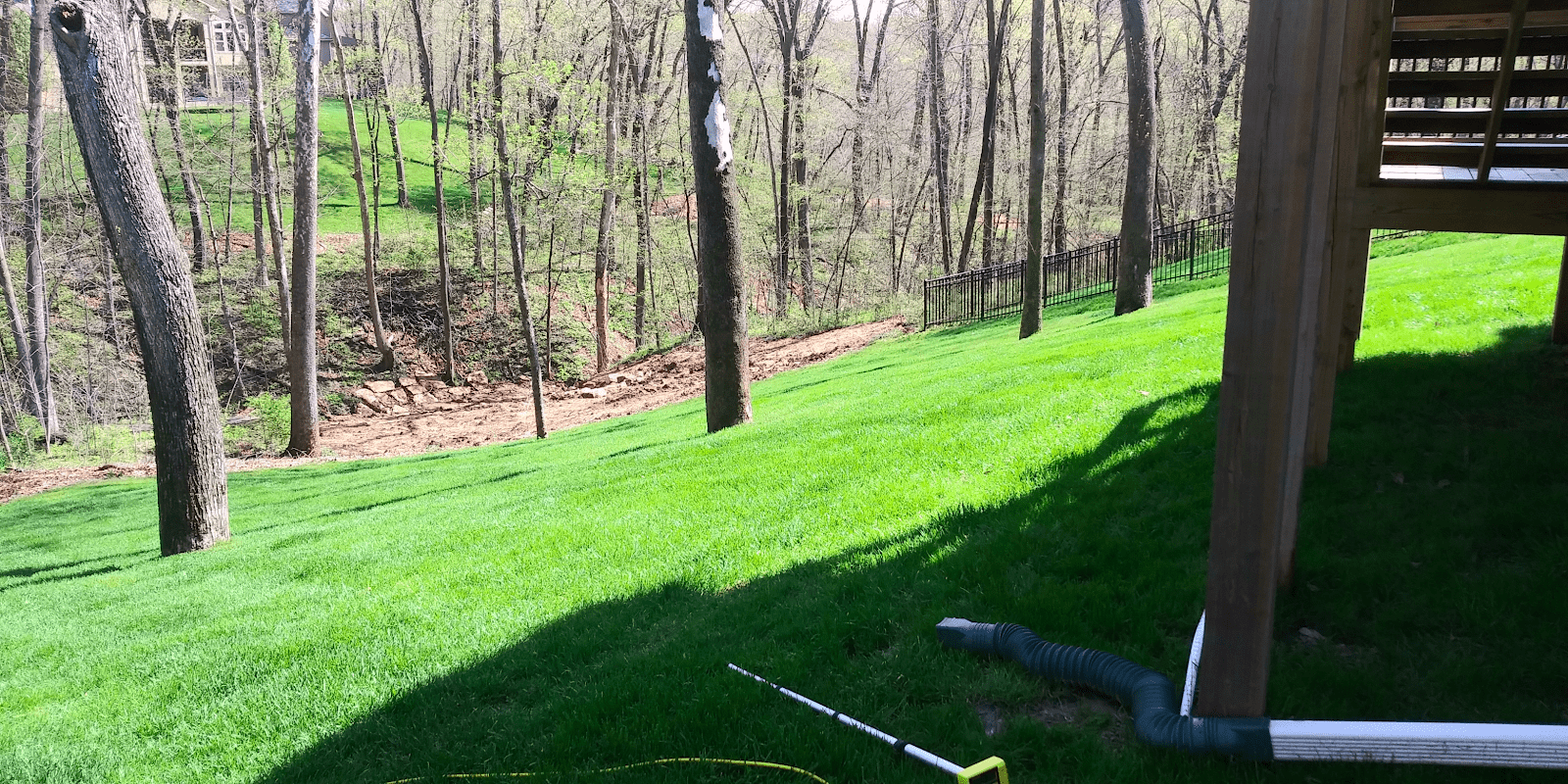 Backyard Transformation