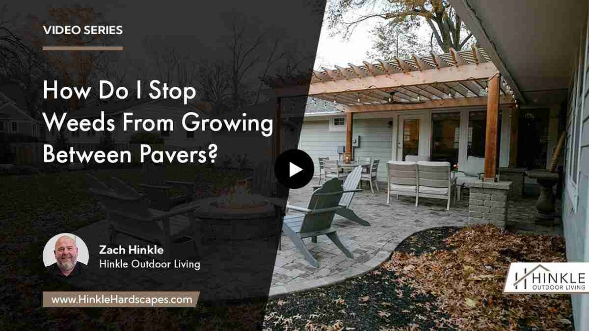 stop weeds from growing