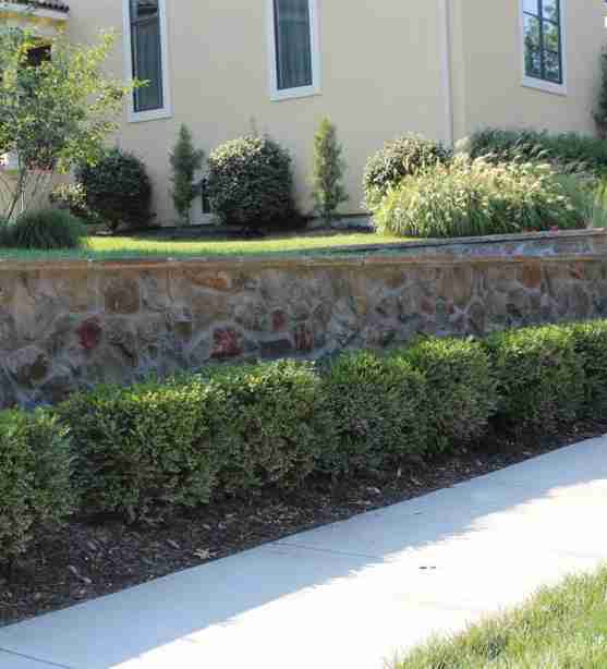 Common Mistakes in Landscape Design 1