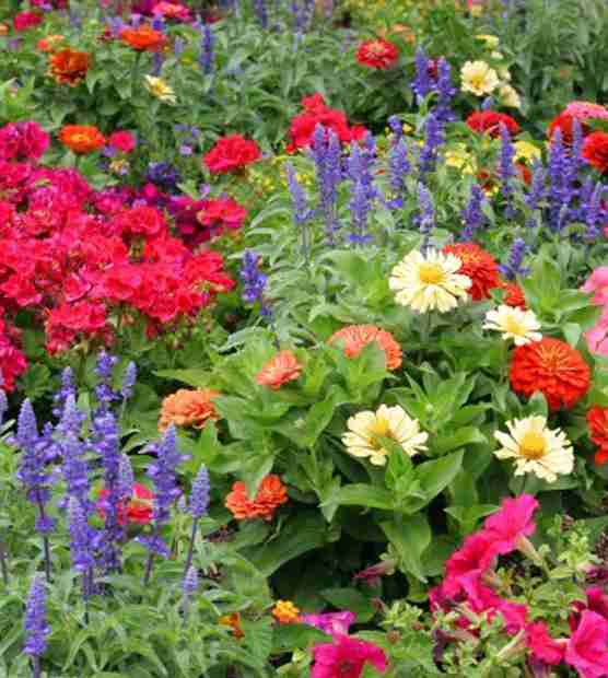 How Does Hinkle Outdoor Living Approach Landscape Design 1