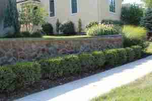 Landscape Design Gallery Image 1