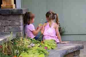 Landscape Design Gallery Image 1