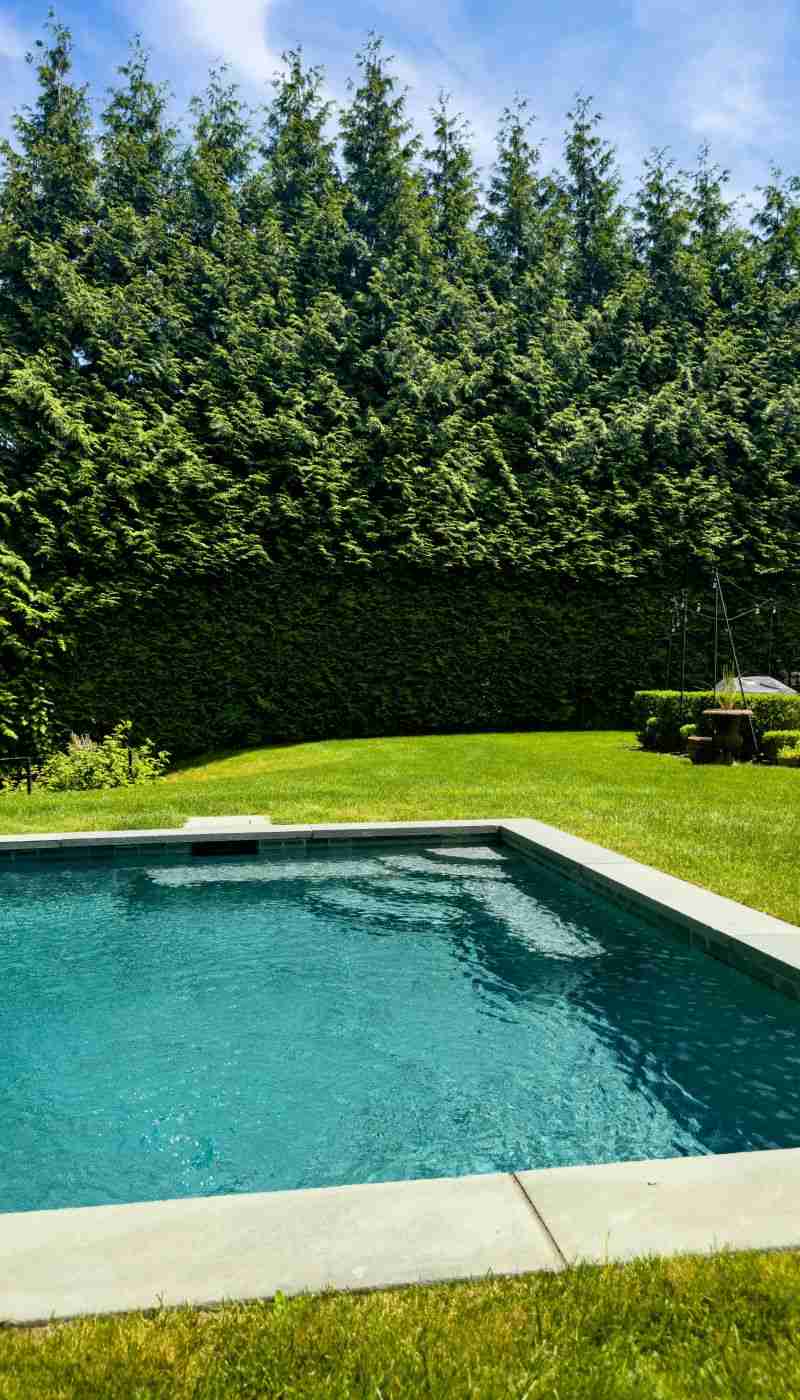 Our Gunite Pool Construction Process Image 2